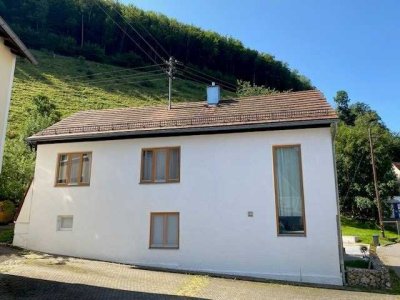 Gemütliches und modernes Einfamilienhaus in der Natur