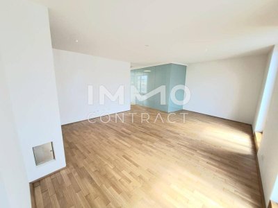 ++ Moderne Maisonette Penthouse - Wohnung 163 m² Wohnfläche mit 75 m² Terrasse (Top A43/43 m² und Top A47/120 m²) ++