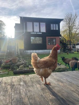 Traumhafte Einliegerwohnung/Loft mit Panoramablick