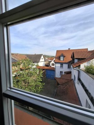 Vollmöblierte 1-Zimmer-Wohnung für Studenten / Praktikanten / Berufsstarter, in Bodenheim