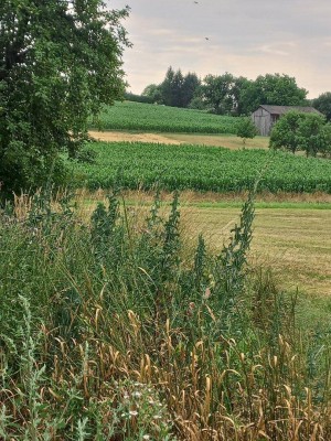 Bauernhaus mit großem Grundstück in Harmisch