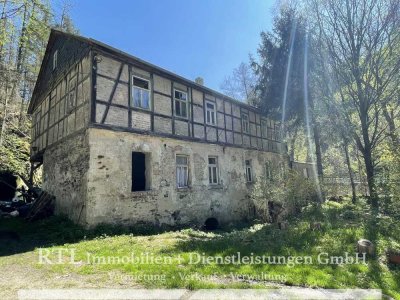 (A1549) Altes Haus, viel Grundstück und Alleinlage – Sanierungsobjekt mit vielen Möglichkeiten