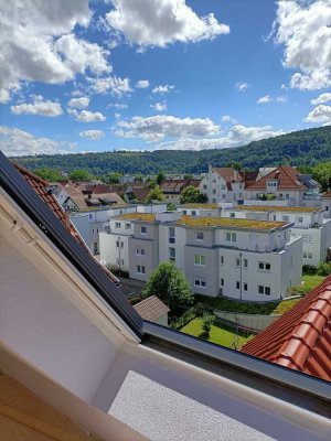 Modernes 3-Zimmer Loft mit Dachterrasse und Balkon zu vermieten