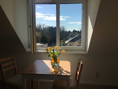 Hell und schön: modernes City-Apartment