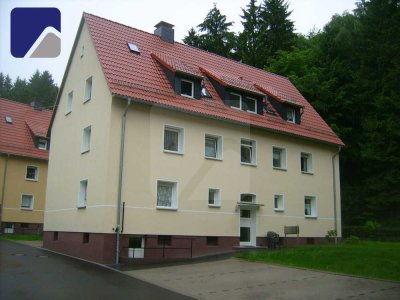 Lüdenscheid-Eggenscheid: Gepflegte 5-Zimmer-Wohnung Nähe Freisenberg
