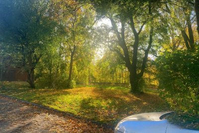 lichtdurchflutete 2-Zimmerwohnung mi westlichen Balkon , vermietet