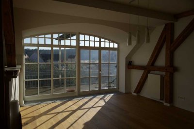 Geräumige 4-Zimmer-Loft-Wohnung mit gehobener Innenausstattung mit Balkon in Wassertrüdingen