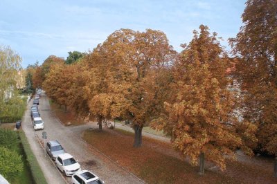 Charmante 3-Raum-Wohnung in zentraler Lage – Villa am Westwall, mit Sauna und Partyraum