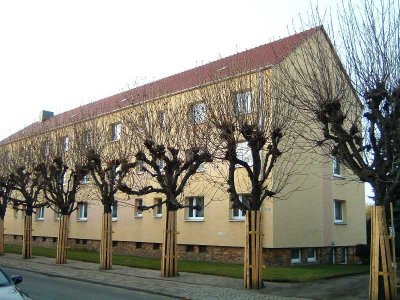 Frisch renovierte 2-Raumwohnung für Jung und Alt