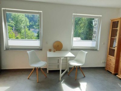 1-Zi-Apartment in Neustadt (Wied) in ruhiger Ortsrandlage