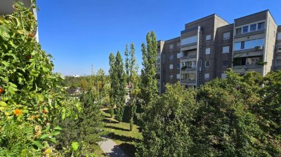 Traumhafter Ausblick | 4. Stock | Parkplatz | Zentralheizung | TOP-Lage am Reisenbauerring