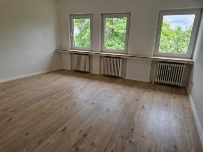 Zentrales, frisch renoviertes Singleappartement