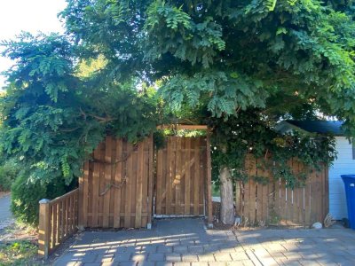 Reihenendhaus im Zentrum von 38527 Meine