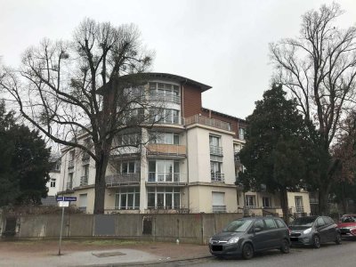 Idylische 2-Raum-Wohnung in Elbnähe Blasewitz
