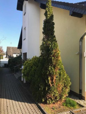 Bezahlbare Souterrainwohnung im schönen Mayener Stadtteil Alzheim gelegen!