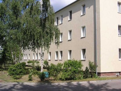 Modernisierte 2-Zimmer-Wohnung in der Walzwerksiedlung