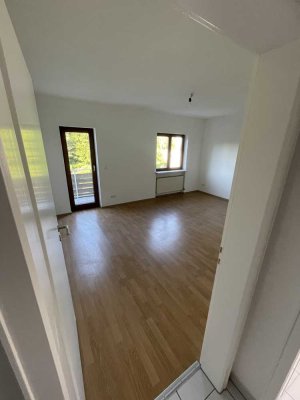 Erstbezug nach Sanierung: schöne 5-Zimmer-Wohnung mit Einbauküche und Balkon in Wiesbaden