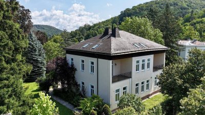 Historische Altbau Villa modern interpretiert | 3 exklusive Wohneinheiten | jetzt noch mitgestalten !