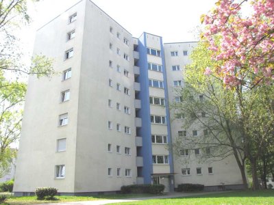 +++GOLDBERG+++S- BAHN+++HELL & SONNIG+++LAMINAT & FLIESEN+++BALKON+++HMS+++ETC.+++AB 07.2025+++