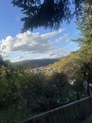 Bauplatz+Haus+Einliegerwohnung/Büro in Mosbach!