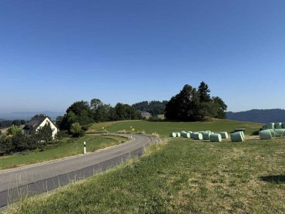 Wertbeständig investieren – komfortabel wohnen: 6 hochwertige Neubauwohnungen
