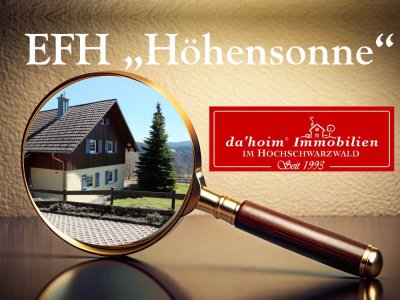 Einfamilienhaus „Höhensonne“ in Feldberg