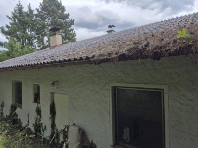 Sanierungsbedürftiges Einfamilienhaus in Hanglage