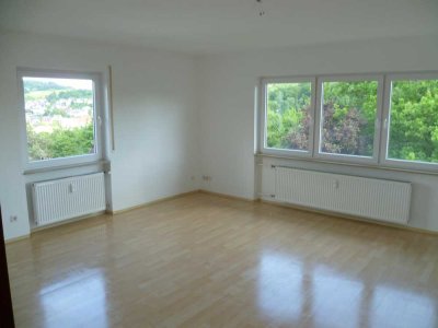 Schöne frisch renovierte 4 Zimmer Wohnung am Südhang