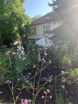 Arbeitsort für Kreative & Freiberufler/ Inspirationsplatz inmitten der Stadt zum Weiterentwickeln