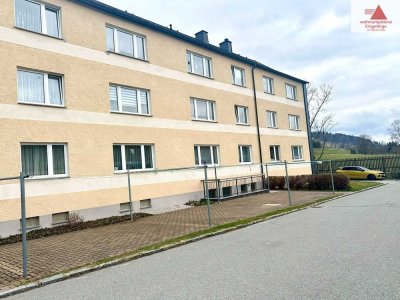 3-Raum-Wohnung mit Garage - ruhige Lage kurz vor Oberwiesenthal - Sehmatal-Neudorf!!