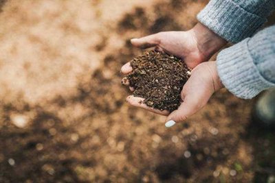 Green Living - Ihr Zuhause mit Umweltbewusstsein
