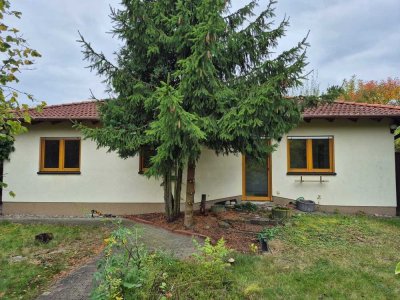 freistehendes Einfamilienhaus auf grünem Grundstück