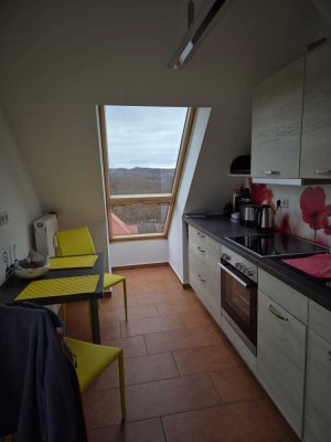 Wunderschöne 2-Zi-DG-Whg mit großer Dachterrasse und Einbauküche in Chemnitz