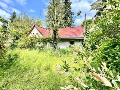 Absolute Alleinlage: Landhaus auf 6.796 m² Grund