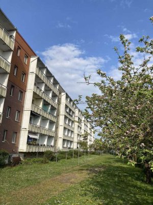 2-Zimmer-Wohnung mit Süd-Balkon und Stellplatz in Greifswald