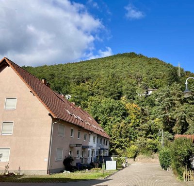 Modern und Naturnah, RMH in Bad Dürkheim-Hardenburg!