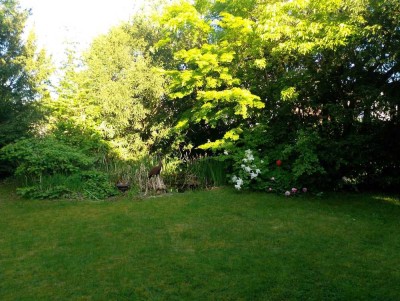 Idyllisches 7,5-Zimmer-Einfamilienhaus mit großzügigem Garten