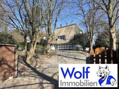 Modernes Fachwerkhaus mit Reetdach und Wellnessbereich am Südhang des Wiehengebirges