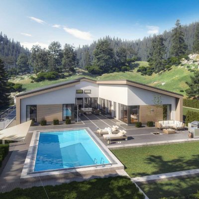 Bien-Zenker: Ihr individuelles Traumhaus in Leingarten - das AMBIENCE 209