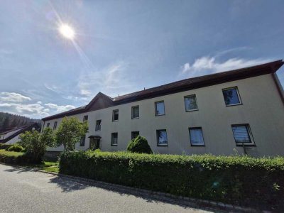 Den Wald direkt vor der Haustür-genießen sie die Ruhe!