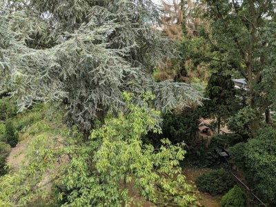 Attraktive 1 Zimmer-Appartement mit Blick ins Grüne in Düsseldorf-Heerdt