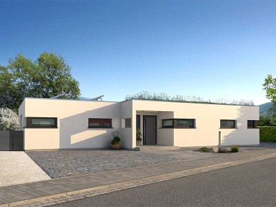 Wohnen auf einer Ebene - moderner Bungalow mit großem Traumgrundstück