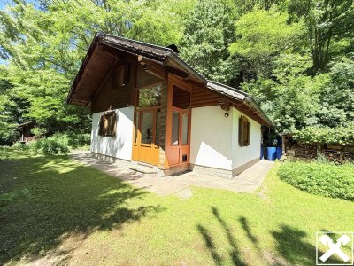 Grüne Oase in der Stadt – kleines Haus mit Waldparzelle