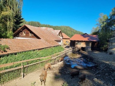Romantischer Hof für Landwirtschaft, Mostheurigen, Gästezimmer