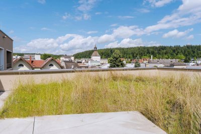 DACHGESCHOSS-Wohnung mit hofseitiger Süd-West Loggia &amp; begrüntem Dachgarten - Fernsicht