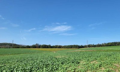 Schuch Immobilien - Sonnige 2 ZKBB in Hahn mit Parkplatz und EBK