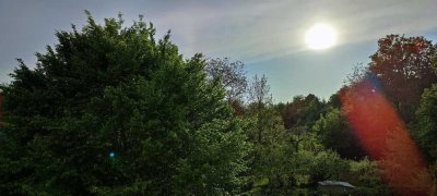 3,5-Zimmer-Wohnung neben dem Ziegeleipark, Top-Zustand