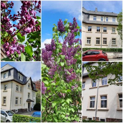 Schöne, helle Wohnung mit drei Zimmern in Hartmannsdorf bei Chemnitz
