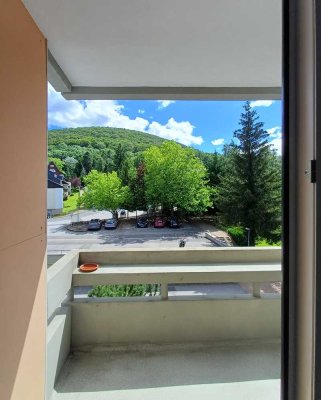 Knuffiges, sehr gepflegtes, teilmöbliertes Balkon-Apartment mit Lift, provisionsfrei für Erwerber!