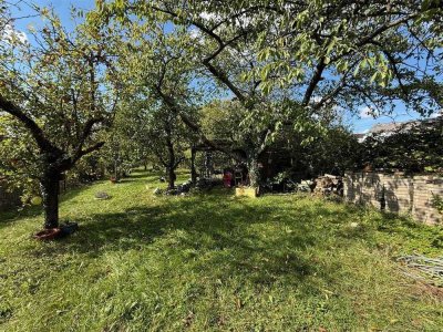 Charmantes Einfamilienhaus mit gepflegtem Obstgarten in 66346 Köllerbach
